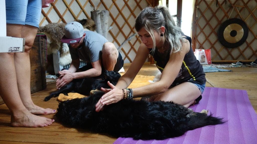Bindungsmoment zwischen Mensch und Hund am See — Vertrauensarbeit aus der Willenskraft-Praxis