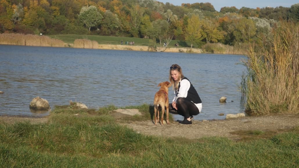Bindungsmoment am See — Mensch und Hund aus der Willenskraft-Praxis, Vertrauen statt Kontrolle