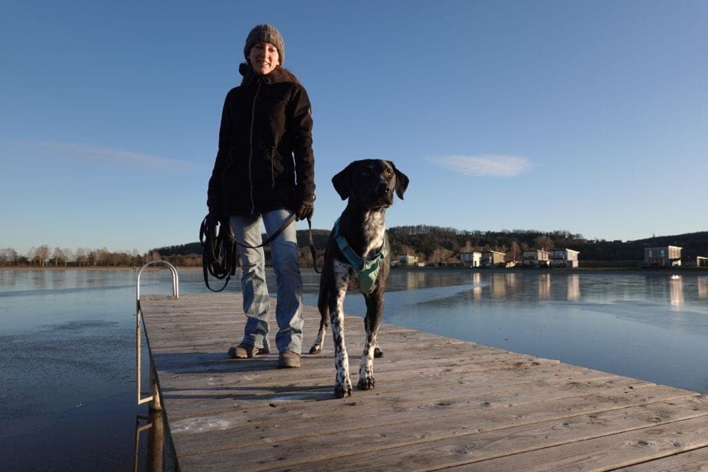 Hund am Steg über dem Wasser — ruhiger Trainingsmoment aus der Willenskraft-Praxis