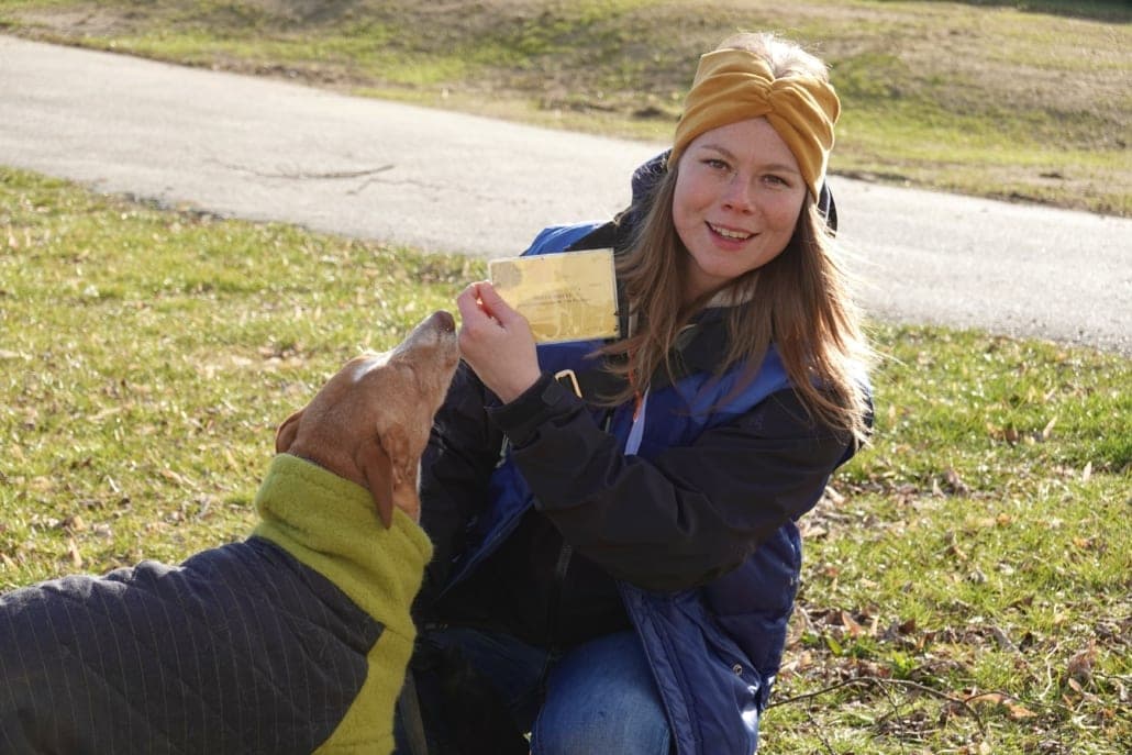 Gruppenkurs der Hundeschule Willenskraft — Mensch-Hund-Teams üben gemeinsam, die Hunde im Y-Geschirr an lockerer Leine
