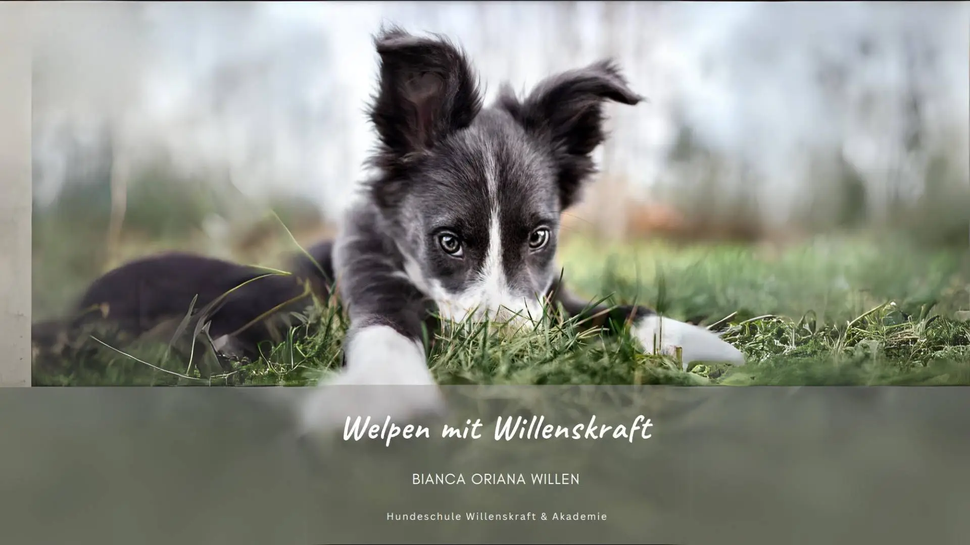 Titelbild des Welpenguides „Welpen mit Willenskraft“ von Bianca Oriana Willen