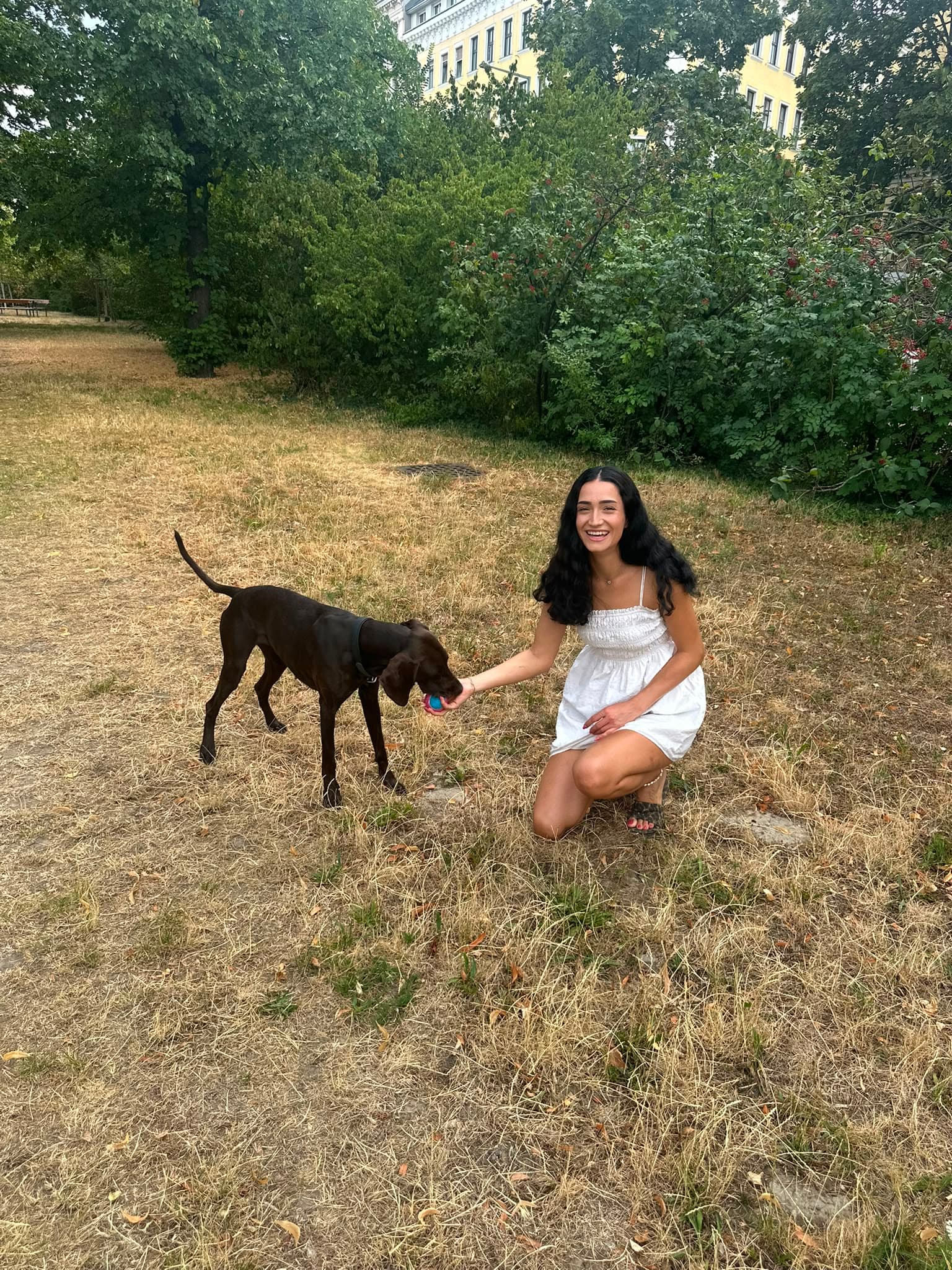 Lara Binder beim mobilen Hundetraining in einem Wiener Park