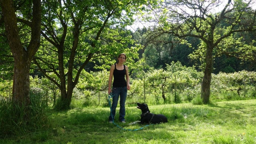 Trainingsmoment aus der Willenskraft-Praxis — Hund an lockerer Leine, aufmerksam bei seinem Menschen