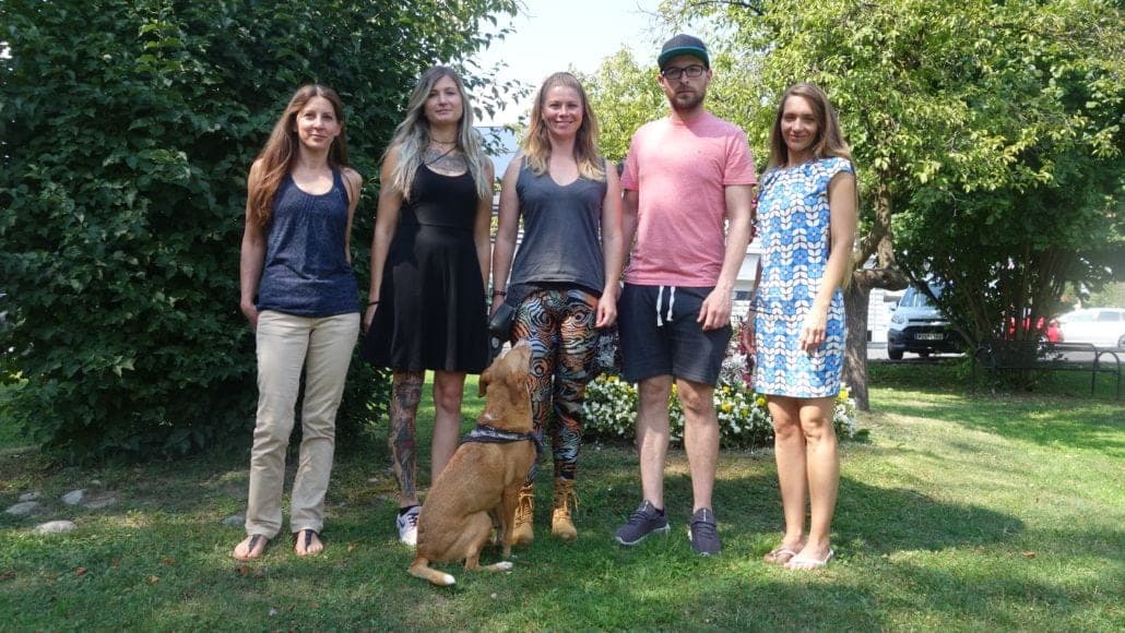 Mensch und Hund unterwegs in der Natur an lockerer Leine — aus der Willenskraft-Praxis