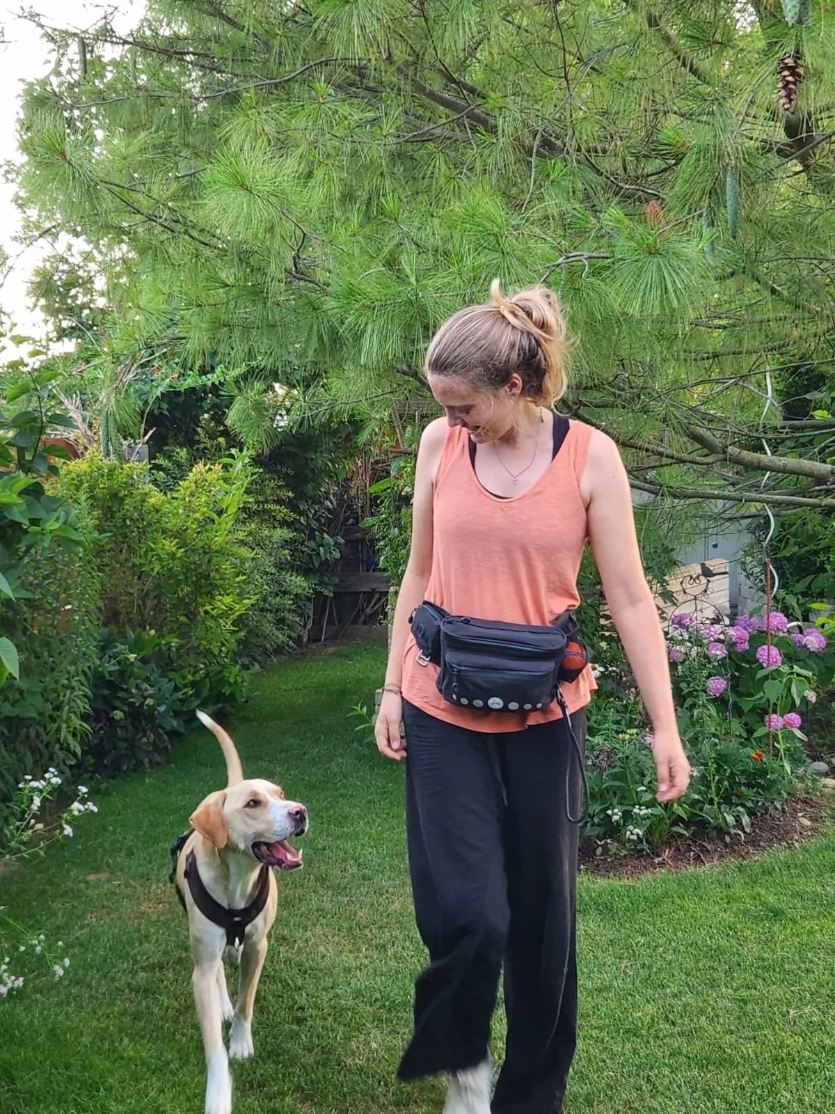Katrin Ladler — Hundetrainerin der Hundeschule Willenskraft (Tulln, Wagram, St. Pölten & Krems)